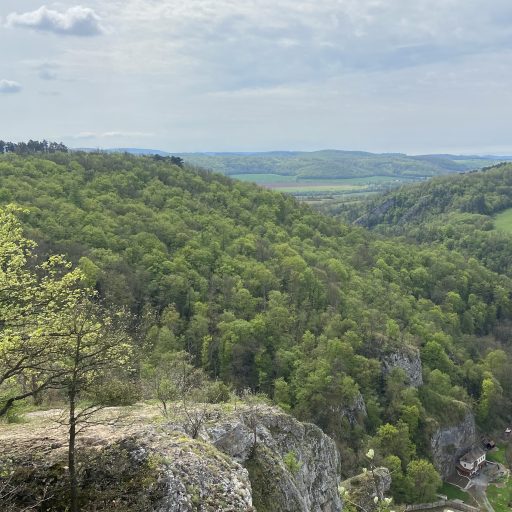 Bicycle Motocross Diaries